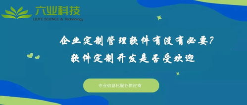 企業(yè)定制管理軟件有沒有必要 軟件定制開發(fā)是否受歡迎